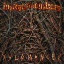 Images In Embers - stupa
