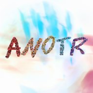 ANOTR, Willem Mulder - Nobody\'s Perfect