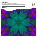 Joey SLVR - My Love Is What You Want (Original Mix)