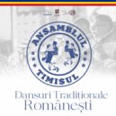 Ansamblul Timisul - Dans de Pe Valea Sebesului (Original Mix)