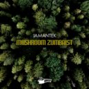 Jamantek - Zumbaist (Original Mix)