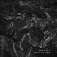 Sam Wilson - Darkness Within