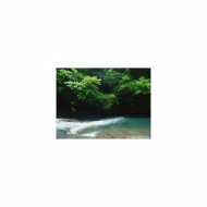 Mindfulness Healing Sleep BGM Project - Linden flower and Concentration