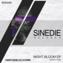 Space Tunes - Night Bloom