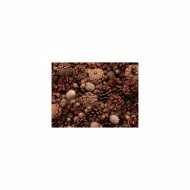 Mindfulness Healing Sleep BGM Project - Wild lettuce and Rest