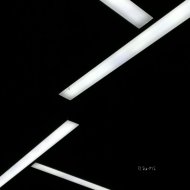 Other Form - Howea