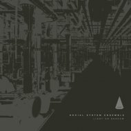 Social System Ensemble - Envy