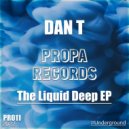 DAN T - Got Me Falling (Original Mix)