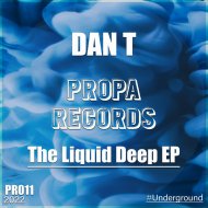 DAN T - Dreaming