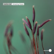 realize.dat - Amazing Green