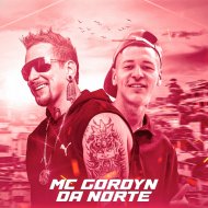 Dj Rhuivo & Mc Gordyn da Norte - Metendo Marcha