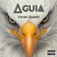 Young Banksy - Águia