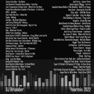DJ Briander - Year mix 2022