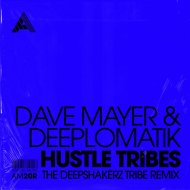 Dave Mayer & Deeplomatik - Hustle Tribes