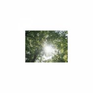 Sleep BGM Mindfulness - Sleep BGM Centaurus and Positive thinking