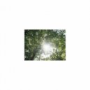 Sleep BGM Mindfulness - Sleep BGM Kiriko and Life