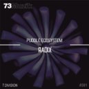 Puddle ecoSystem - Radix