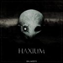 Salander - Haxium (Original Mix)
