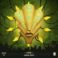 Aaron Noise - Look