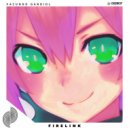 FACUNDO GARDIOL - Firelink (Original Mix)