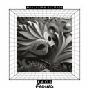 Raos - Fading