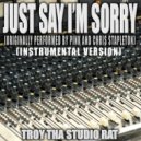 Troy Tha Studio Rat - Just Say I\'m Sorry (Originally Performed by Pink and Chris Stapleton) (Instrumental Version)