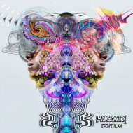 Langwidj - Gravity Lift