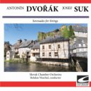 Slovak Chamber Orchestra - Serenade for Strings in E major, Op. 22 - Tempo di Valse ()