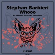 Stephan Barbieri - Somebody in the house