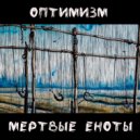Мертвые Еноты - Оптимизм (Original Mix)