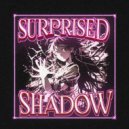 jdmfessh & yoloo! - SUPRISED SHADOW ()