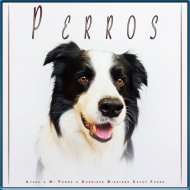 Música Para Perros & Colectivo De Música Para Perros & Ansiedad De Los Perros - Música para Ayudar A Mi Perro A Dormir