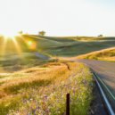 Serenity Circuit - Circuitous Journey