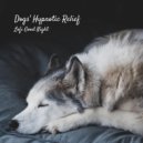 Lofi Harry & Dog Music Waves & Dog Relaxing Zone - Gentle Whispers ()