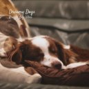 LoFi HipHop Guru & Doggy Doo-Wop & Floof - A Timeless Journey