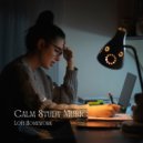 HipHopBeatster & Reading and Studying Music & Study Time - Stars and Skies ()