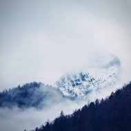 Rusez1 - I did not want