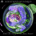 Erik The Viking Vs Ian James Stewart - What Kind Of World