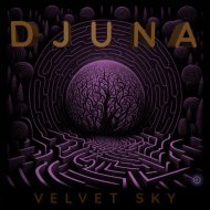 Djuna - The Punisher