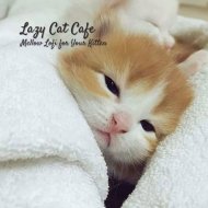 Chill Hip-Hop Beats & Lofi Jazz Cafe & Relax My Kitten - Fly Above