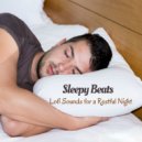 Lofi Playlist & Relaxing Music For Sleeping & Music For Sleeping Ensemble - Flavor of chances ()