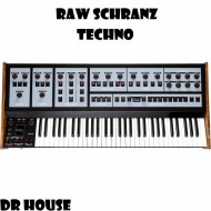 Dr. House - RAW TECHNO SCHRANZ