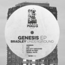 Bradley Underground - LSD (Original Mix)