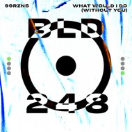 99RZNS - What Would I Do (Without You)