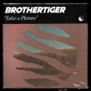 Brothertiger - Take a Picture (Original Mix)