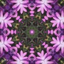 Ray Violet - Divine