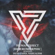 Human Insect - Hybridized