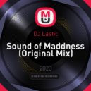 DJ Lastic - Sound of Maddness (Original Mix)