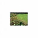 Sleep BGM Mindfulness - Joker and Mental stability