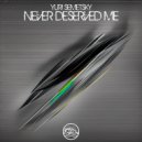 Yuri Semetsky - Never Deserved Me
